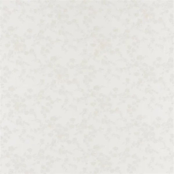 Ambleside Embroidery Fabric - White by white botanical embroideried fabric from Ralph Lauren