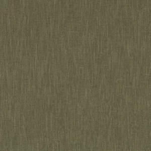green plain cotton fabric from Casamance