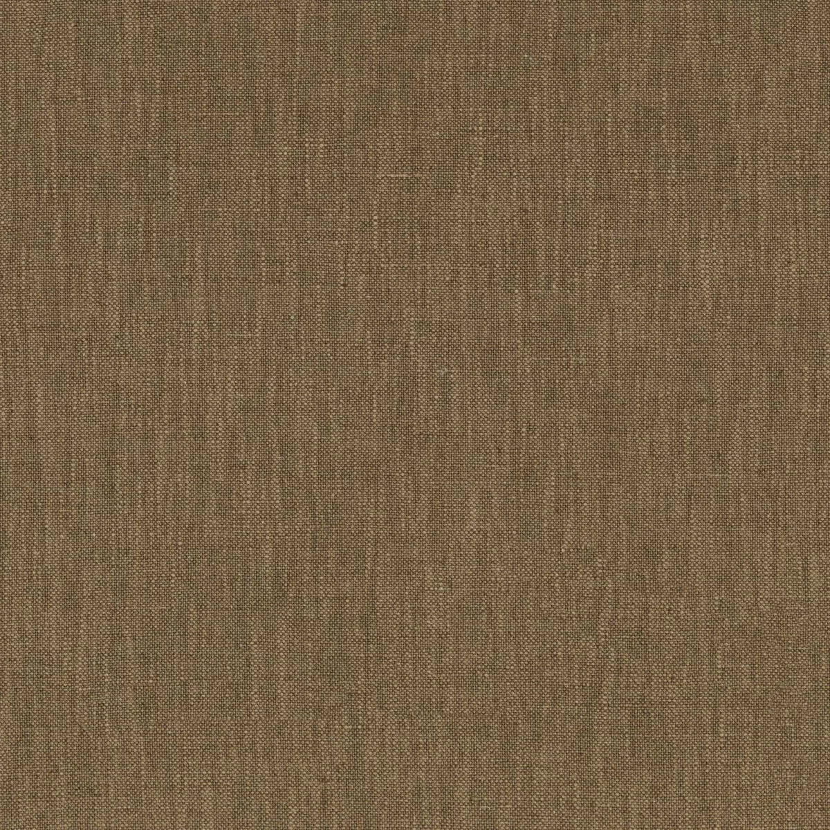 Guethary Fabric - Kaki by brown plain cotton fabric from Casamance