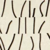 brown misc embroideried fabric from Casamance