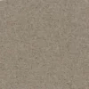 brown plain woolen fabric from Casamance