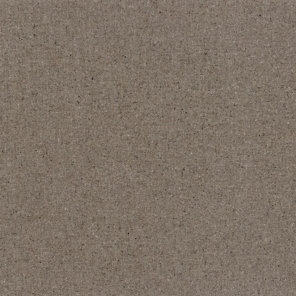 Bongo Fabric - Beige Taupé by brown plain woolen fabric from Casamance