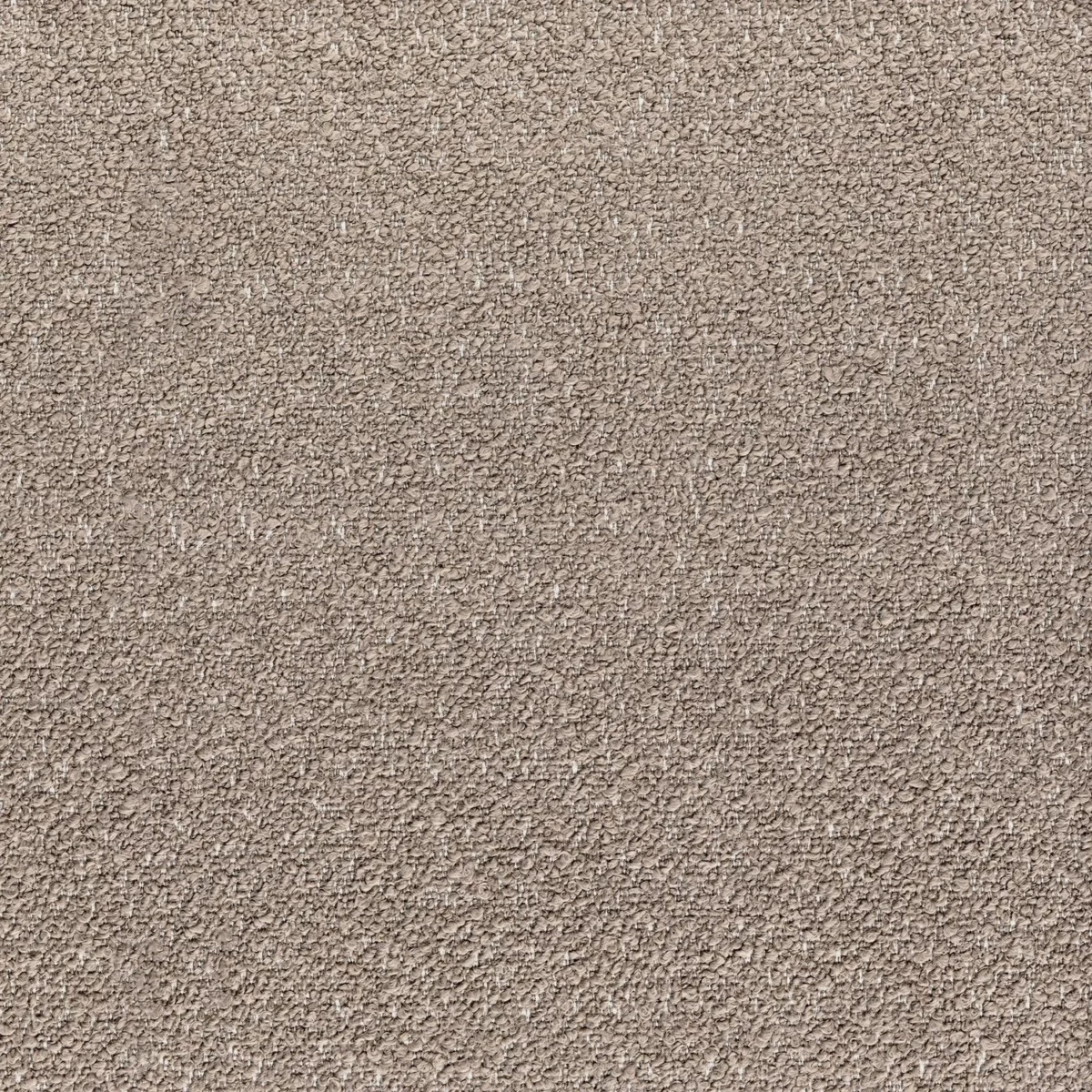 Sandy Bay Fabric - Marron Glace by neutral plain misc fabric from Casamance