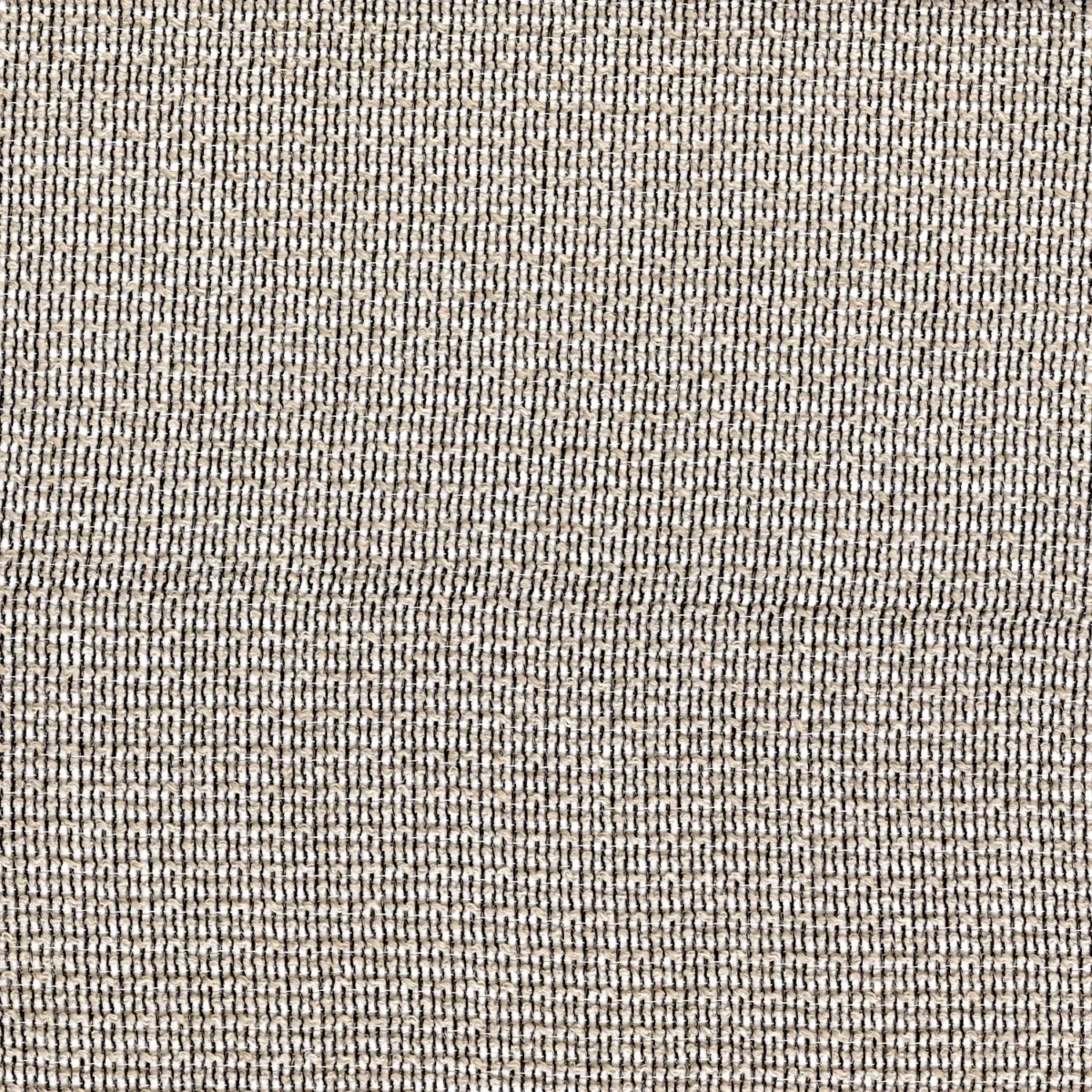 Sancho Fabric - Marron Glace 2 by black-grey plain voile-sheer fabric from Casamance