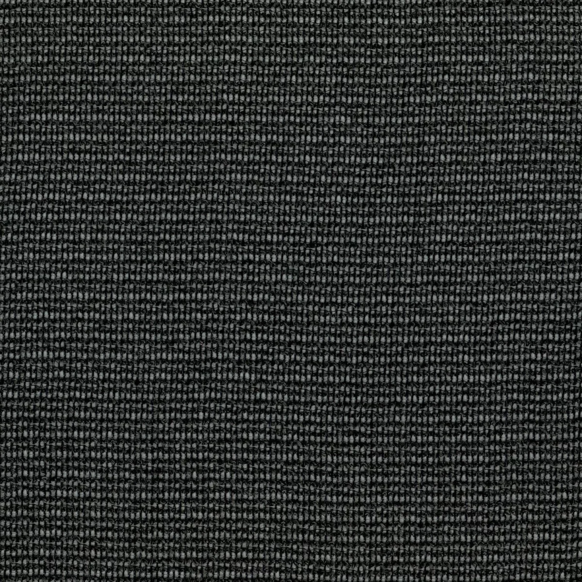 Sancho Fabric - Gris by black-grey plain voile-sheer fabric from Casamance