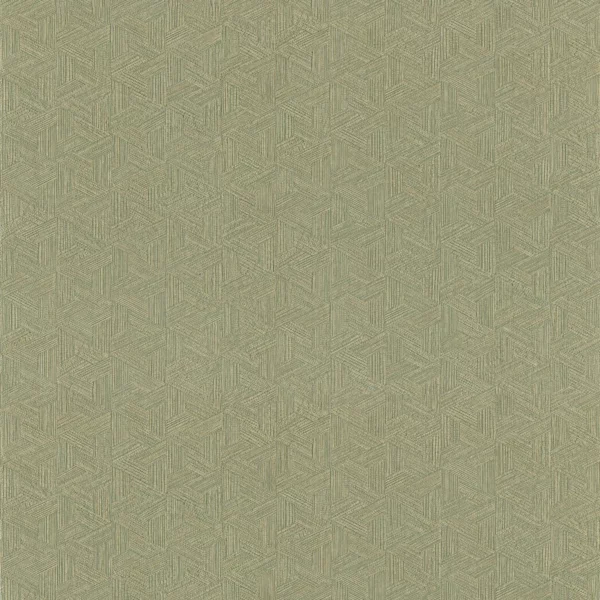 Lindu Wallpaper - Kaki by green misc wallpaper from casamance