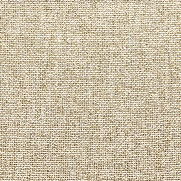 Nivalis Fabric - Sable by white plain voile-sheer fabric from Casamance