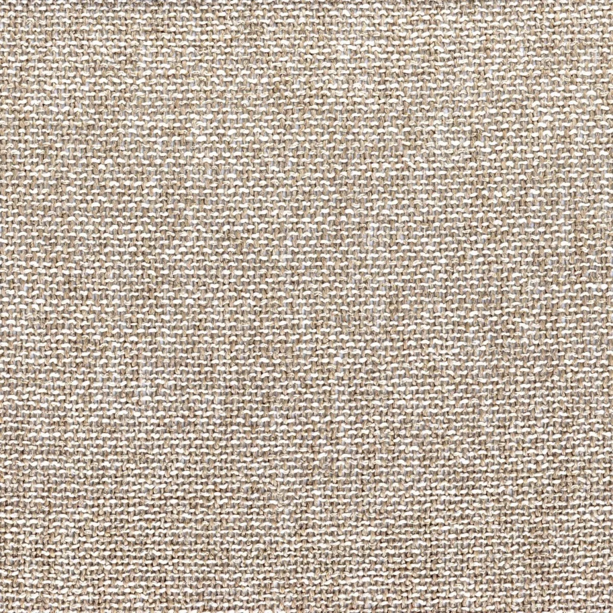 Nivalis Fabric - Grege by neutral plain voile-sheer fabric from Casamance