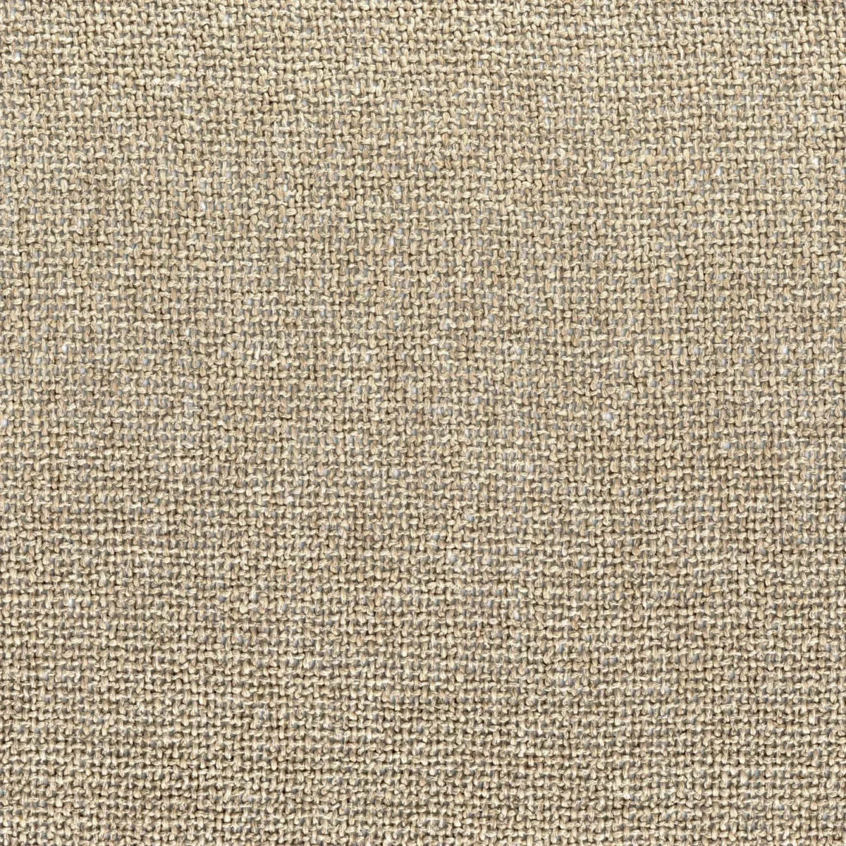 Nivalis Fabric - Marron Glace by neutral plain voile-sheer fabric from Casamance