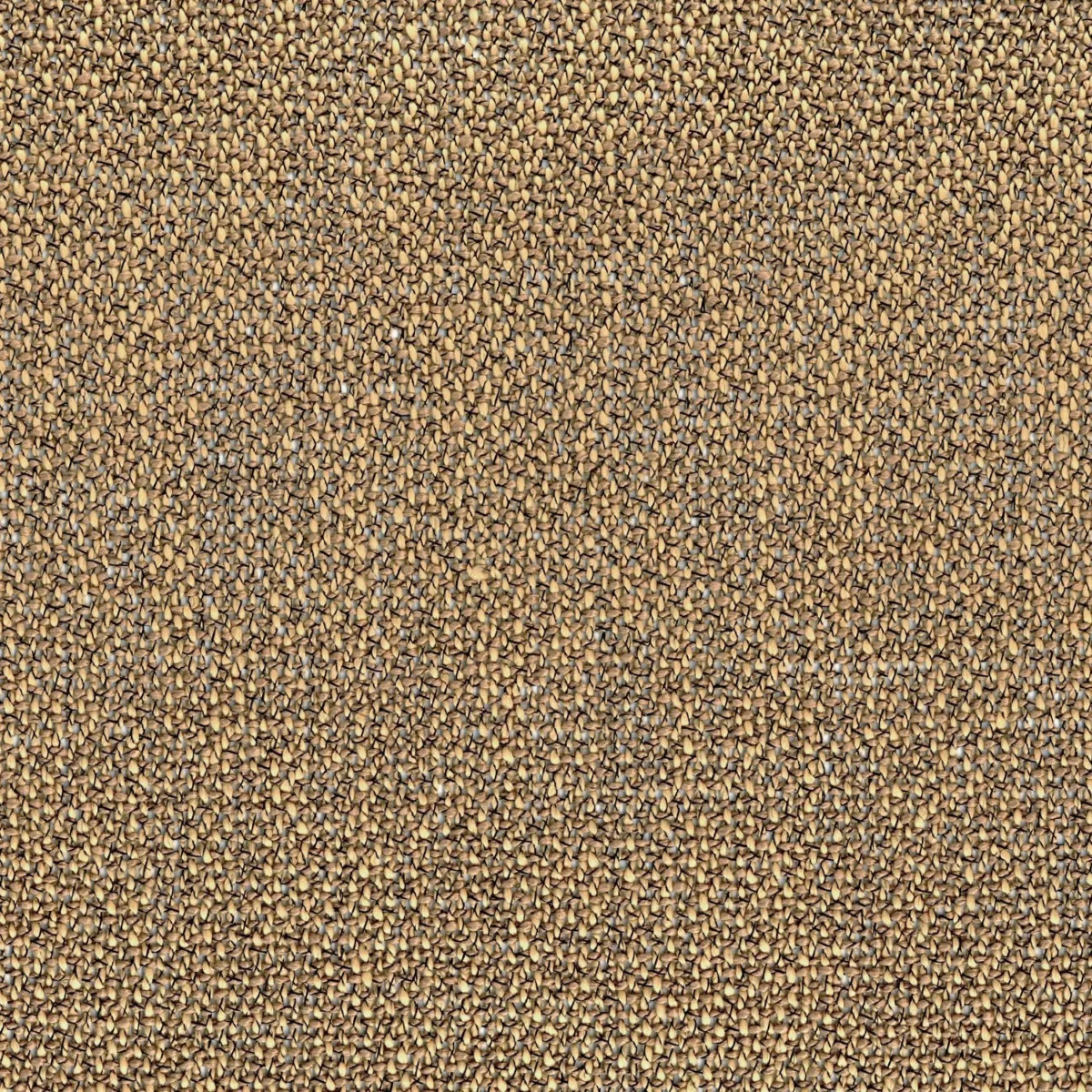Nivalis Fabric - Mordore by brown plain voile-sheer fabric from Casamance