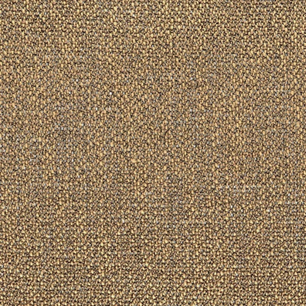 Nivalis Fabric - Mordore by brown plain voile-sheer fabric from Casamance