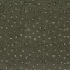 green spotted embroideried fabric from Casamance