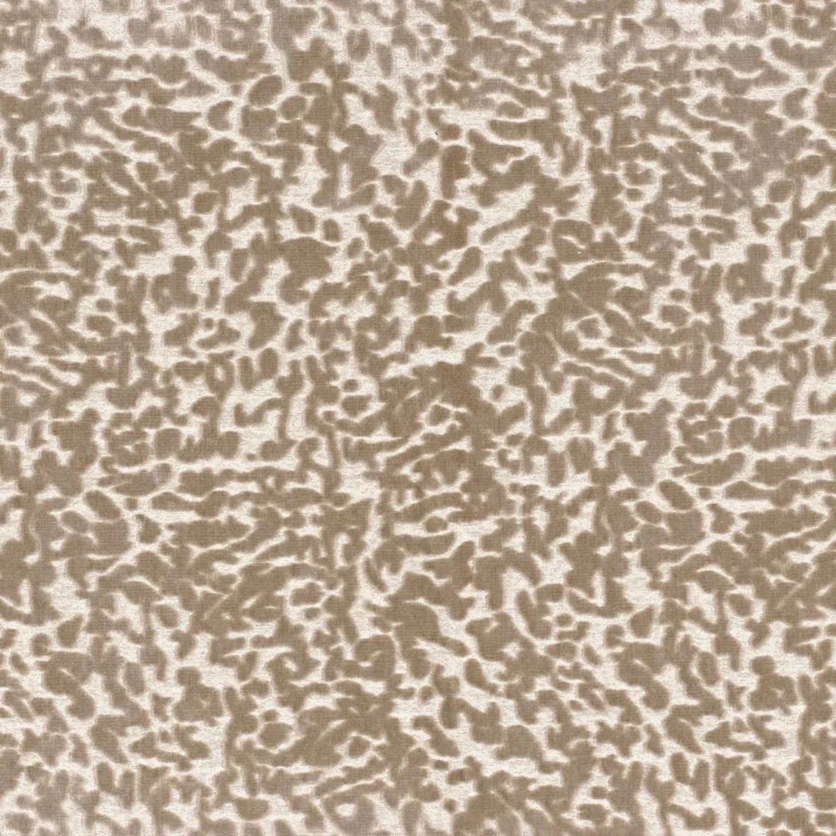 Ocema Fabric - Beige by neutral misc velvet-chenille fabric from Casamance