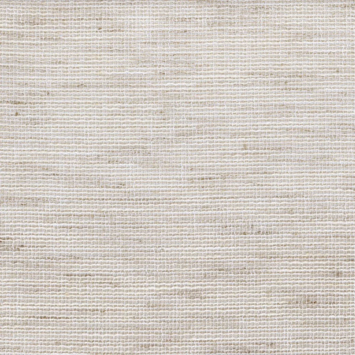Kosava Fabric - Beige by neutral plain voile-sheer fabric from Casamance