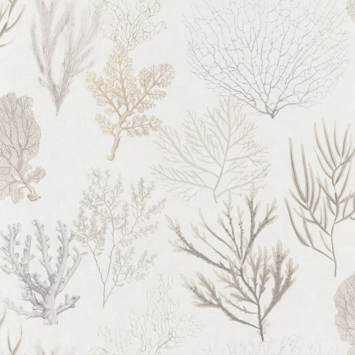 Corail Wallpaper - Beige by neutral botanical wallpaper from casadeco