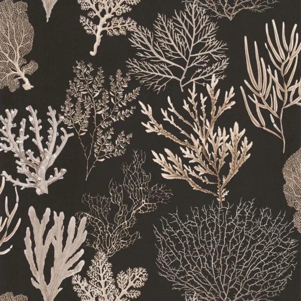 Corail Wallpaper - Noir Fusain by brown botanical wallpaper from casadeco