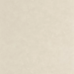 neutral plain wallpaper from casadeco