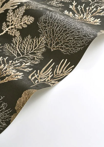 Corail Wallpaper - Noir Fusain by Corail Wallpaper - Noir Fusain from