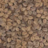 brown botanical wallpaper from casadeco