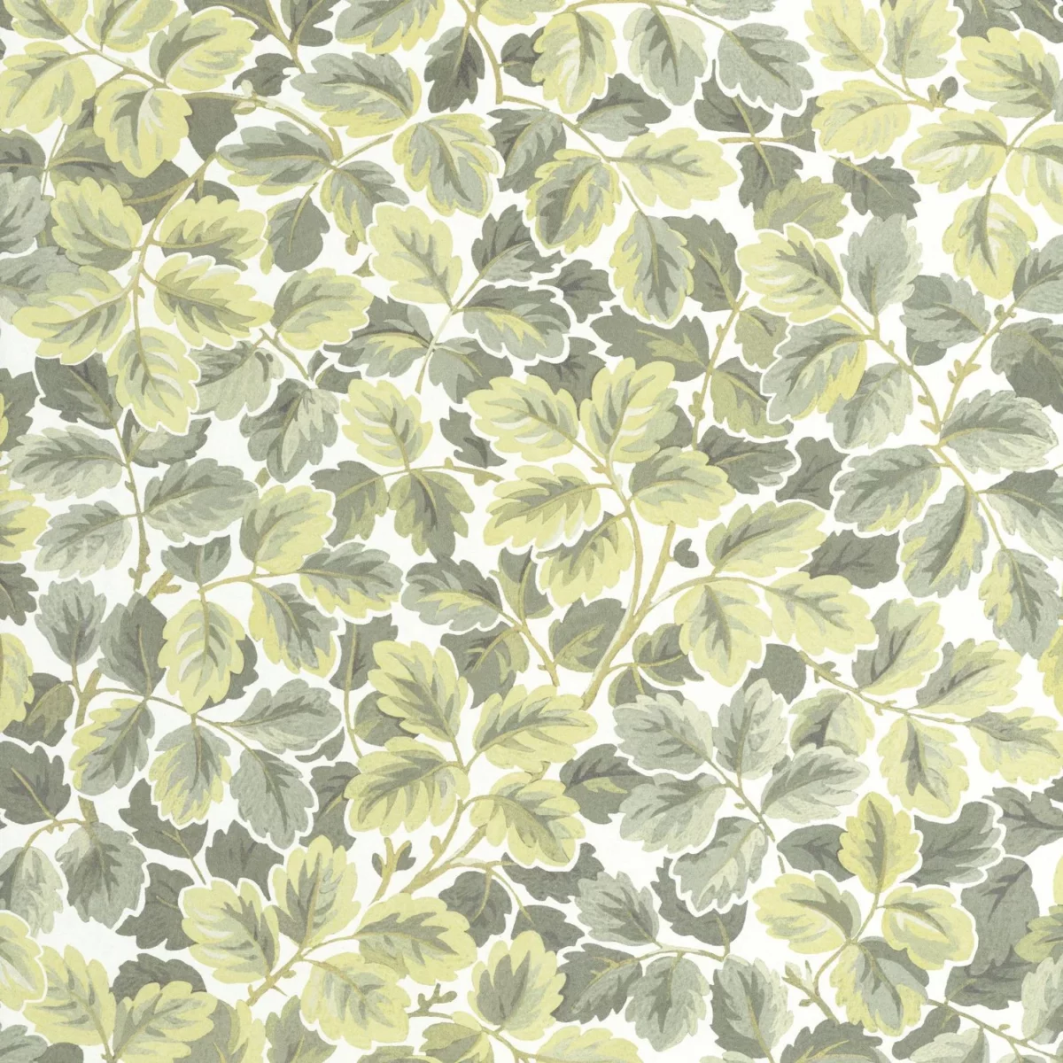 Regent S Park Wallpaper - Amande by green botanical wallpaper from casadeco
