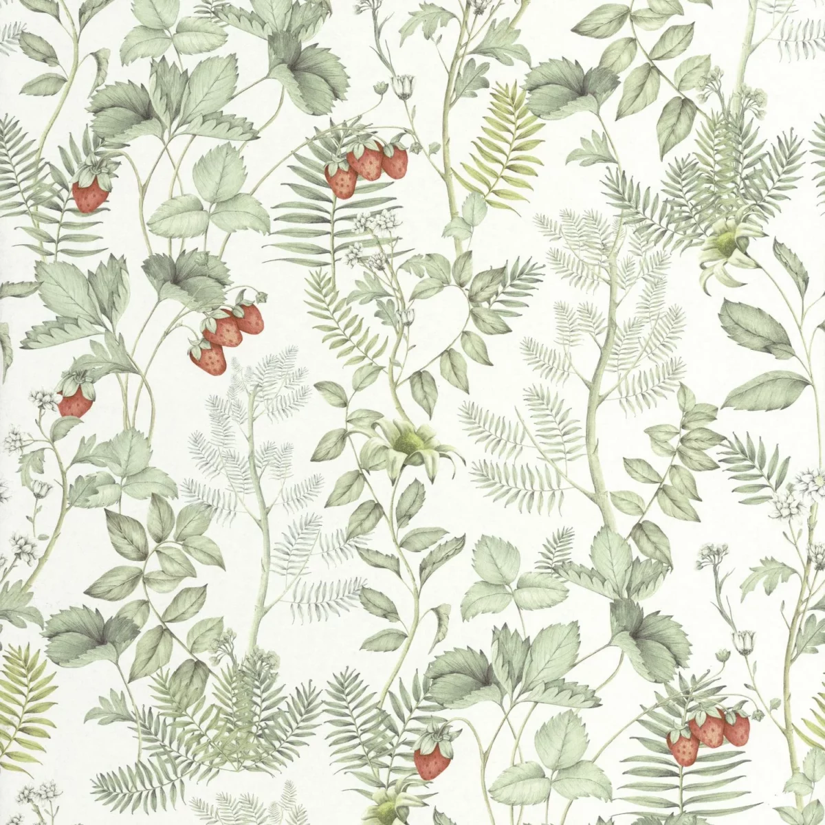 Strawberry Field Wallpaper - Vert D'Eau by green botanical wallpaper from casadeco
