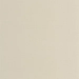 neutral plain wallpaper from casadeco
