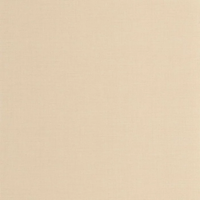Smith Wallpaper - Sable fabric swatch CARN200562234