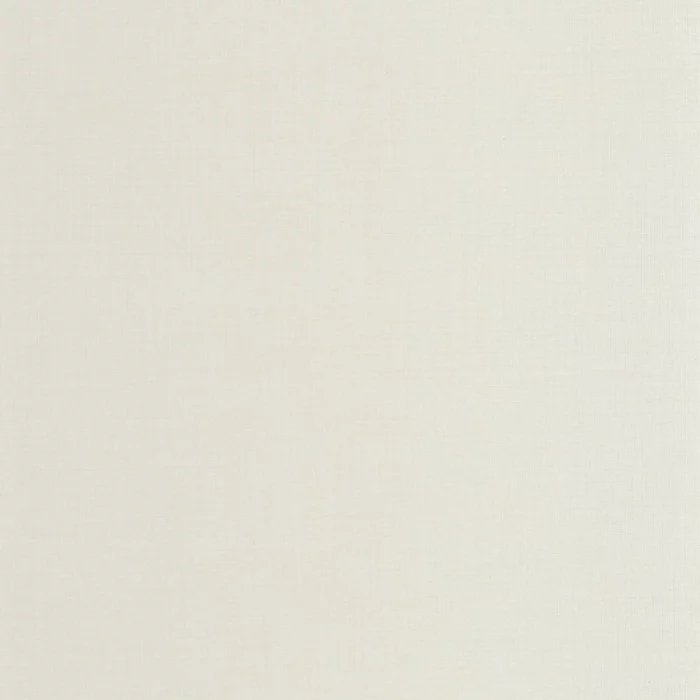 Smith Wallpaper - Gris Duvet fabric swatch CARN200566664
