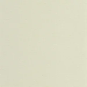 green plain wallpaper from casadeco
