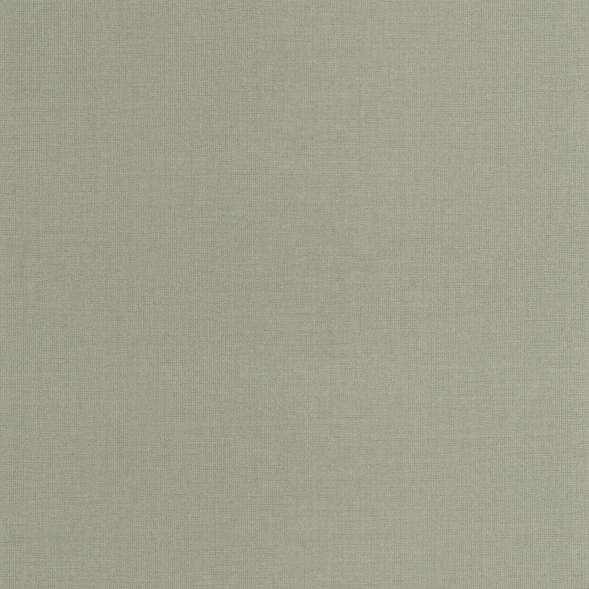 green plain wallpaper from casadeco
