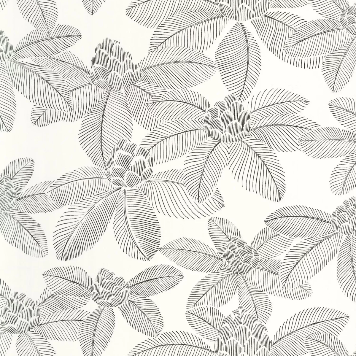 Lotus Wallpaper - Noir Blanc by black-grey botanical wallpaper from caselio