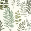 blue botanical wallpaper from caselio