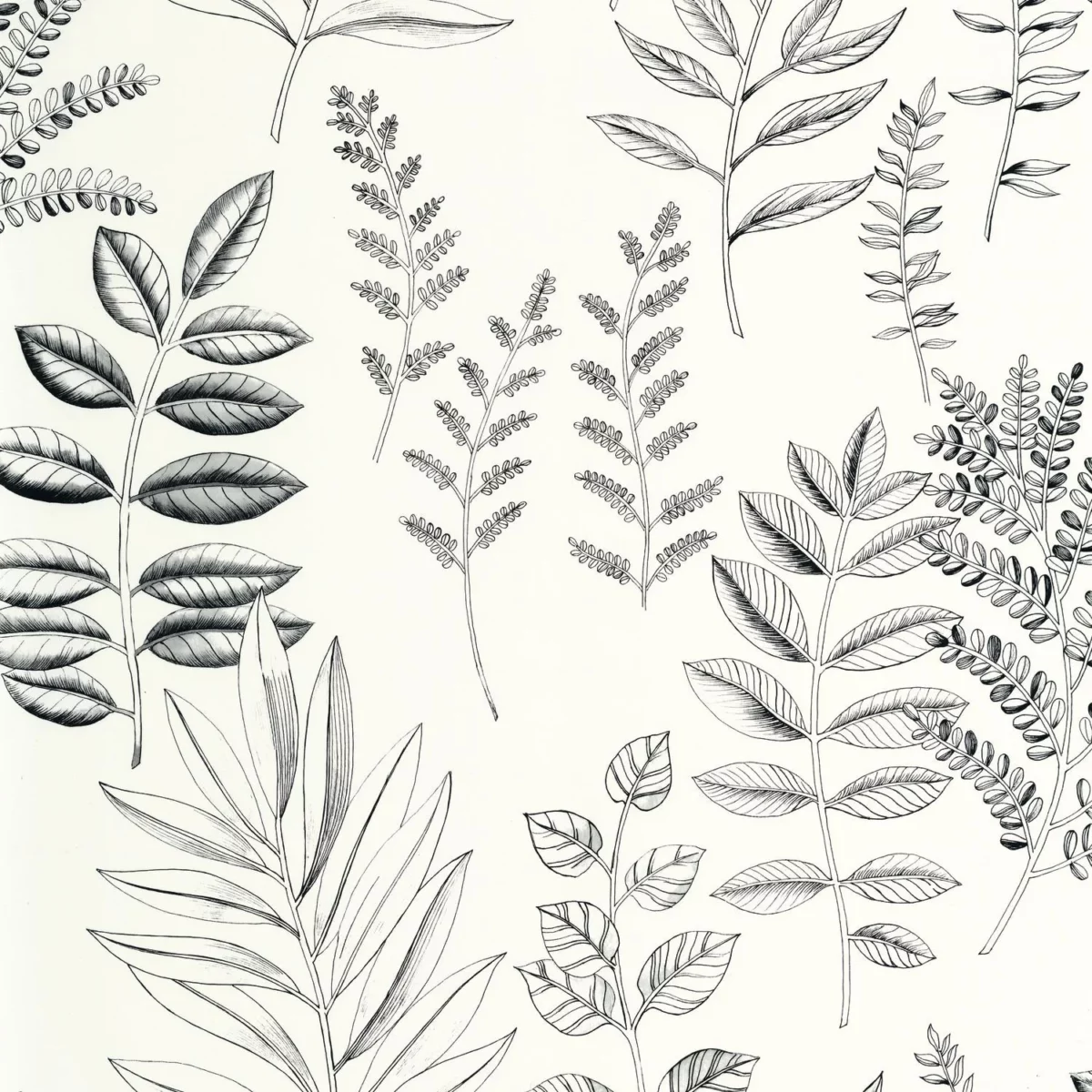 black-grey botanical wallpaper from caselio