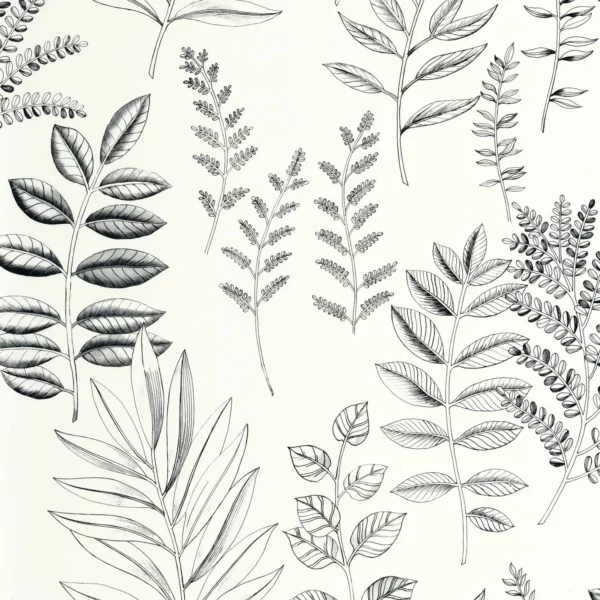 Florium Wallpaper - Noir Blanc by black-grey botanical wallpaper from caselio