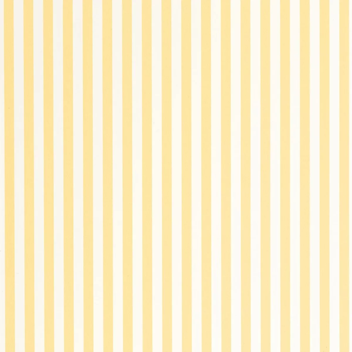 yellow striped wallpaper from caselio