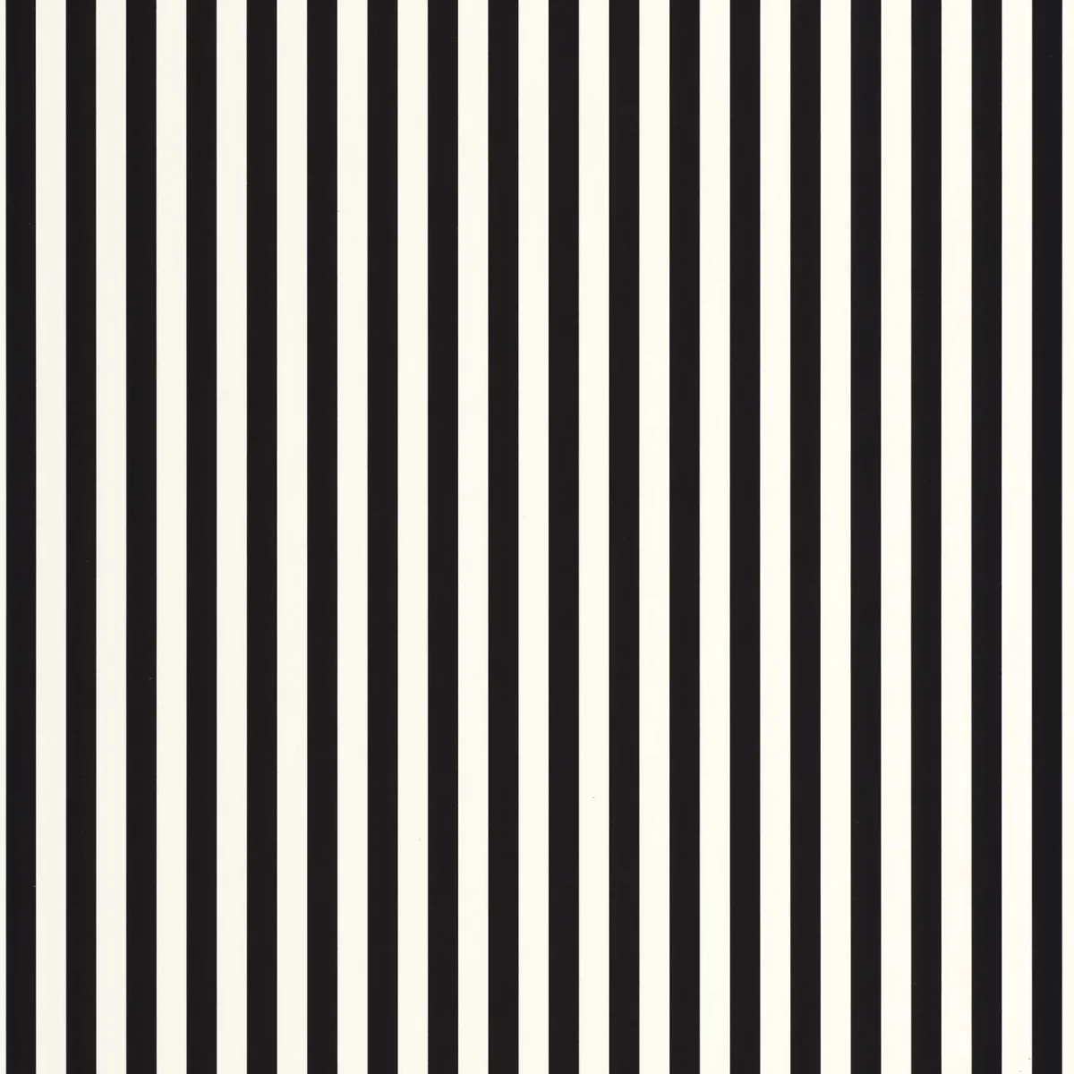 Talea Wallpaper - Noir Blanc by black-grey striped wallpaper from caselio