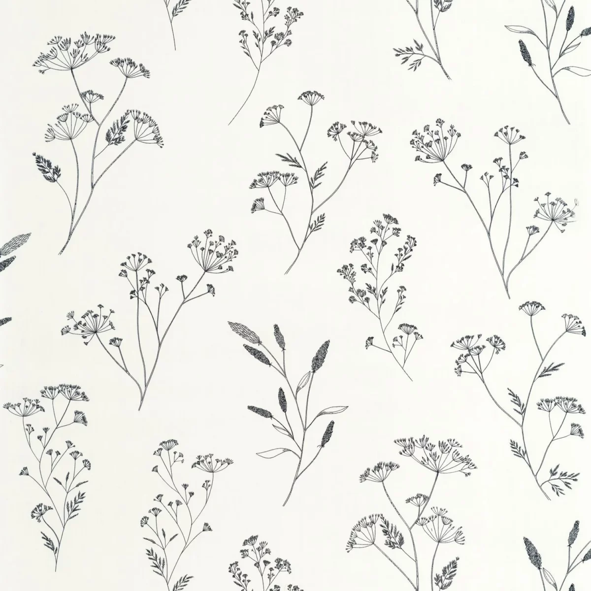 Little Graminea Wallpaper - Noir Blanc by black-grey botanical wallpaper from caselio