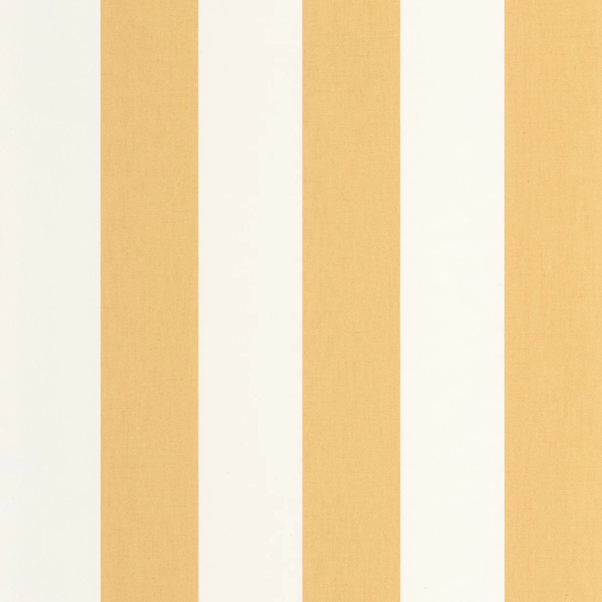 yellow striped wallpaper from caselio