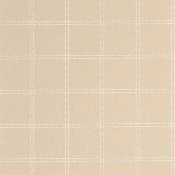 Fine Lines Wallpaper - Beige by neutral checked wallpaper from caselio