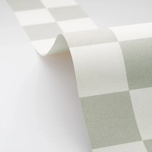 Checks Border - Vert Amande by Checks Border - Vert Amande from