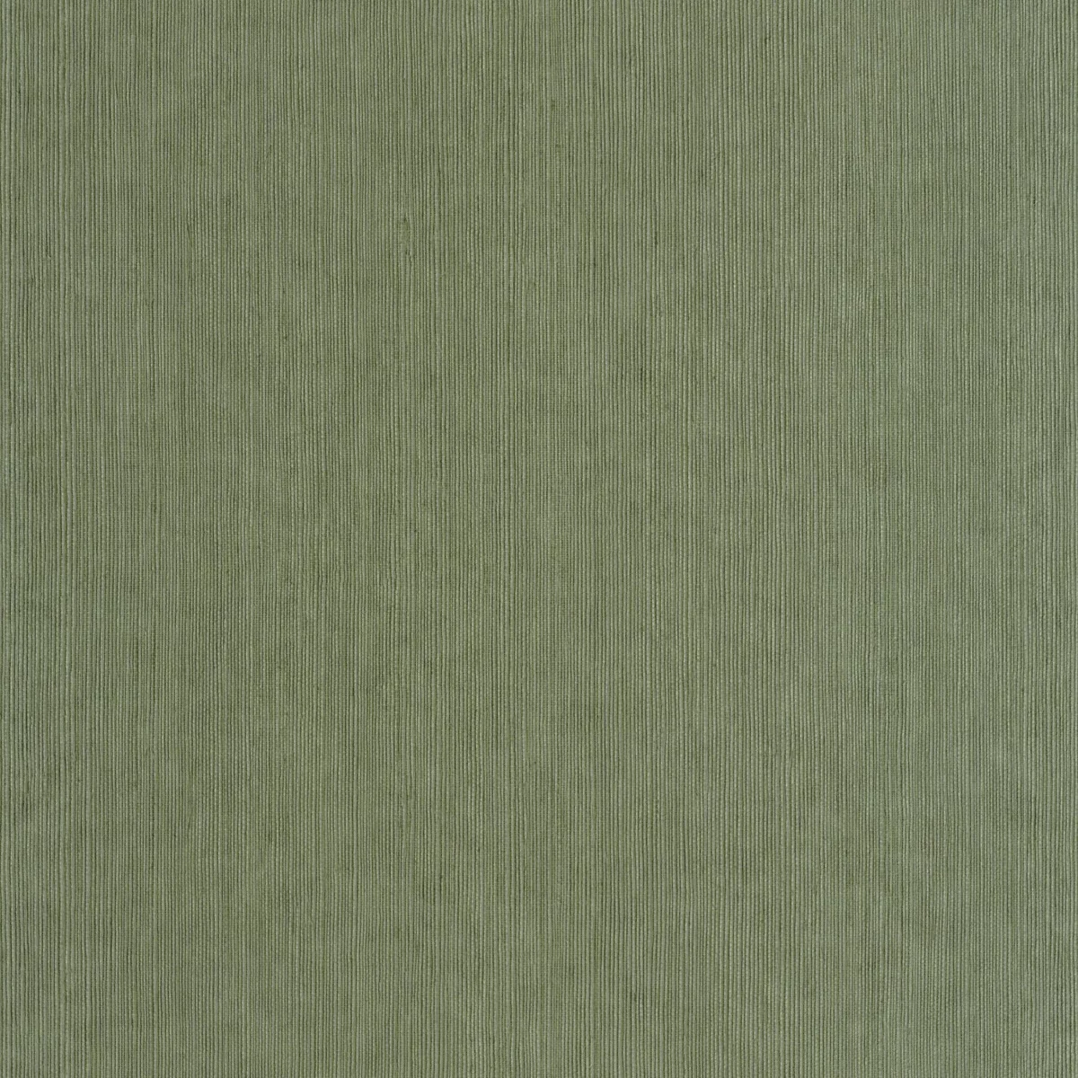 Sisal Wallpaper - Vert Mousse by green plain wallpaper from caselio