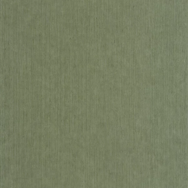 Sisal Wallpaper - Vert Mousse by green plain wallpaper from caselio