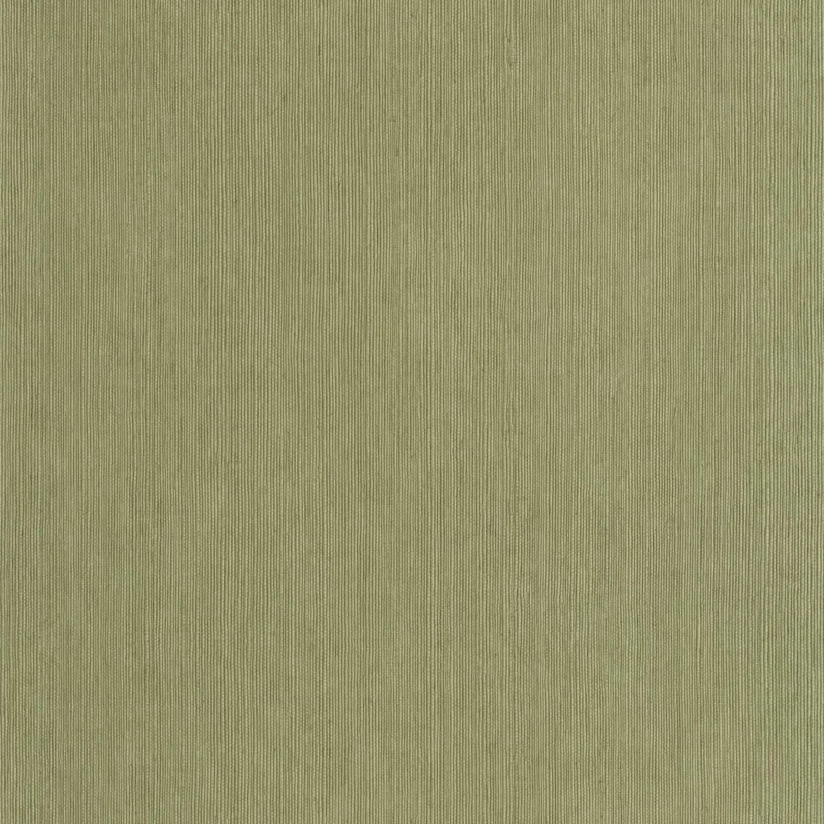 Sisal Wallpaper - Vert Kaki by green plain wallpaper from caselio