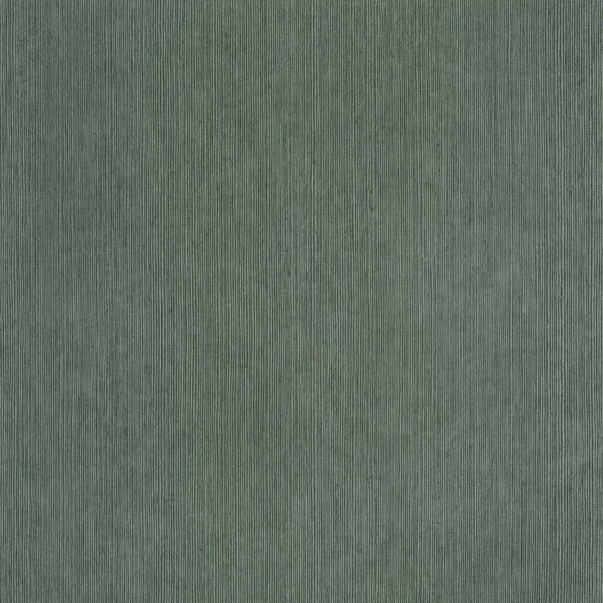 Sisal Wallpaper - Vert Sapin by blue plain wallpaper from caselio