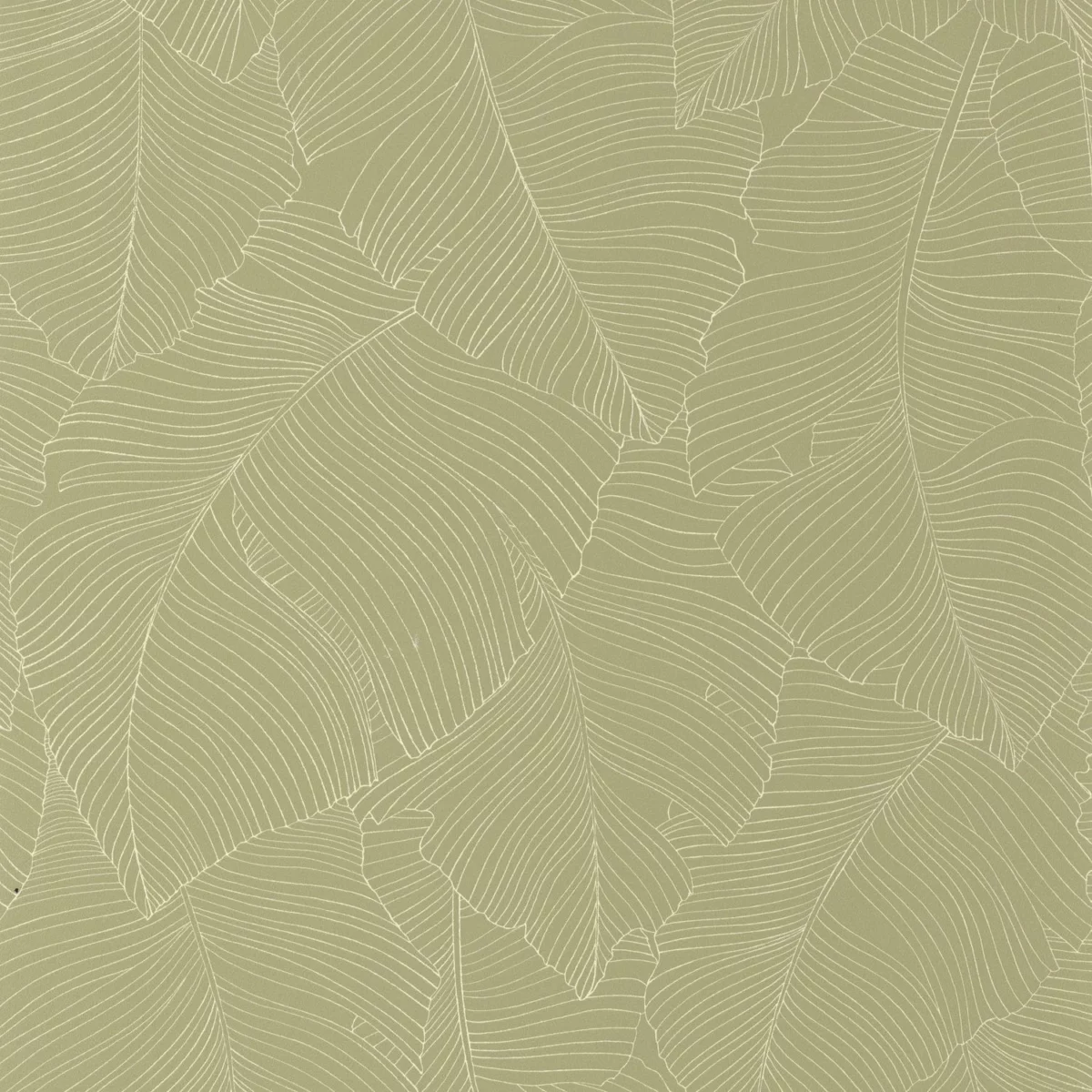 Vegetalia Wallpaper - Kaki by green botanical wallpaper from caselio