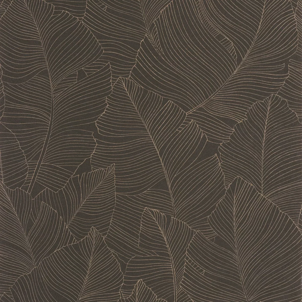 Vegetalia Wallpaper - Noir Sepia by brown botanical wallpaper from caselio