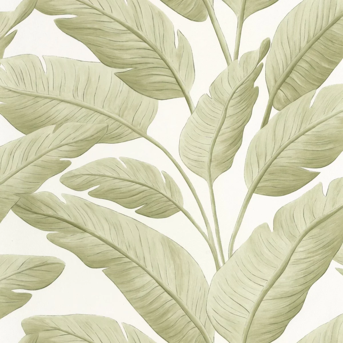 Tropicalia Wallpaper - Amande by green botanical wallpaper from caselio
