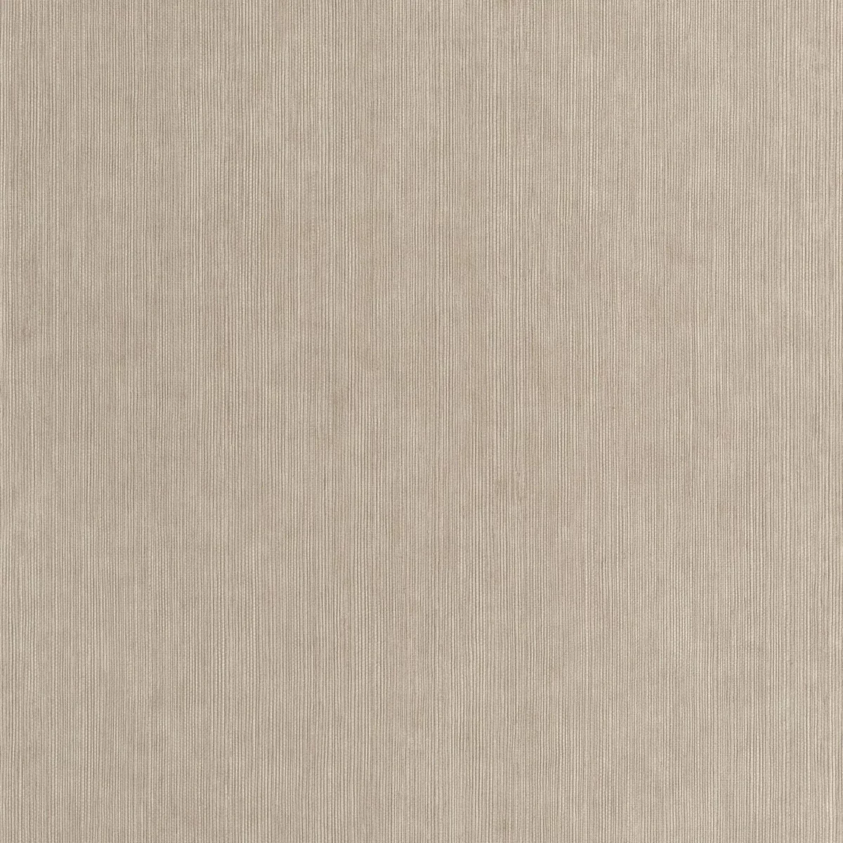 neutral plain wallpaper from caselio