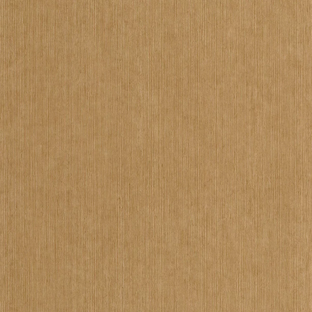 orange plain wallpaper from caselio