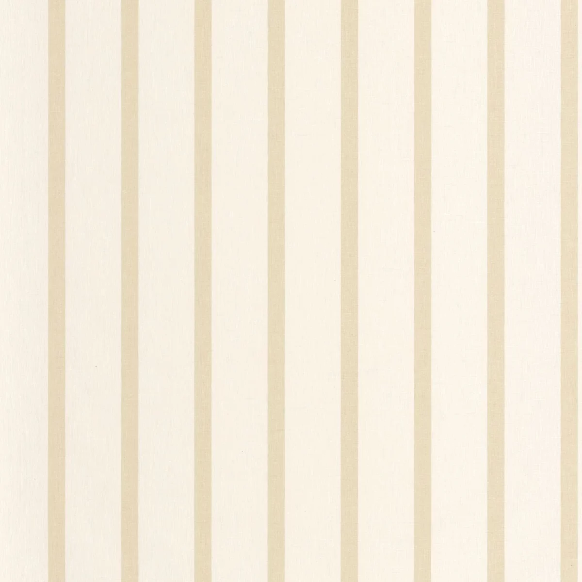 Katy Wallpaper - Beige by neutral striped wallpaper from caselio